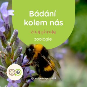 Živá příroda - zoologie