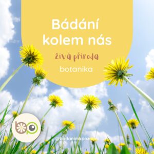 Živá příroda - botanika