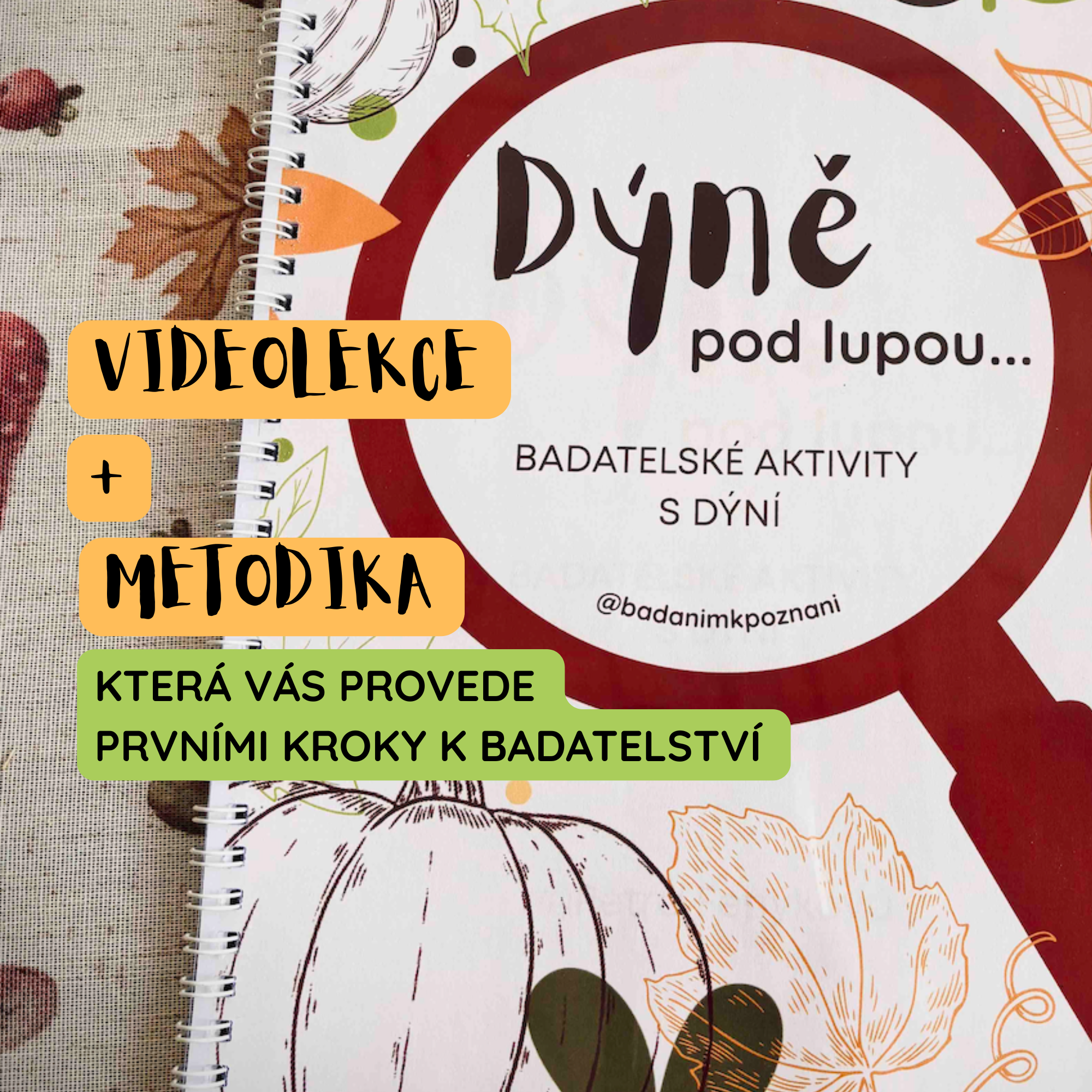 Dýně pod lupou: videolekce + metodika