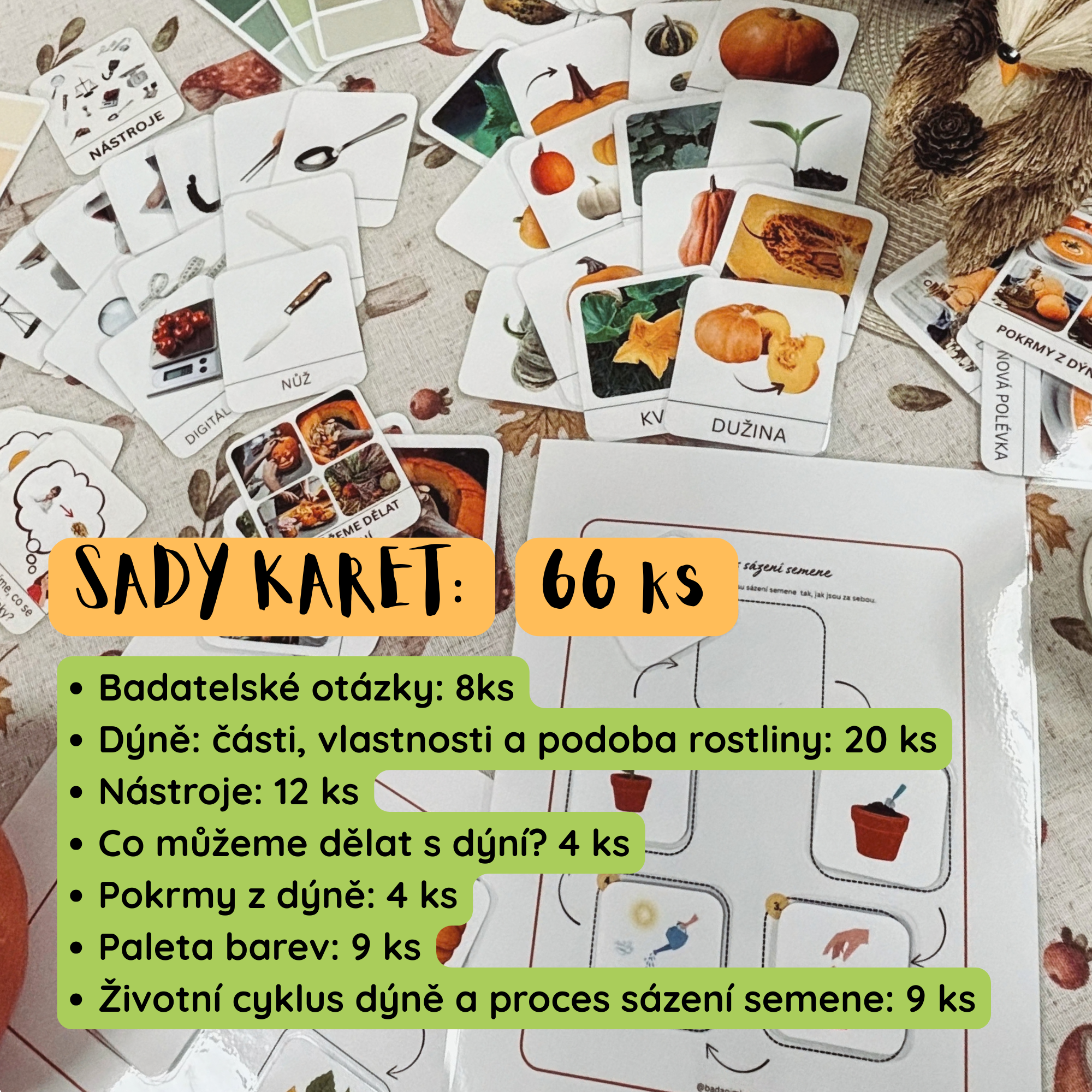 Dýně pod lupou: videolekce + metodika - Obrázek 3