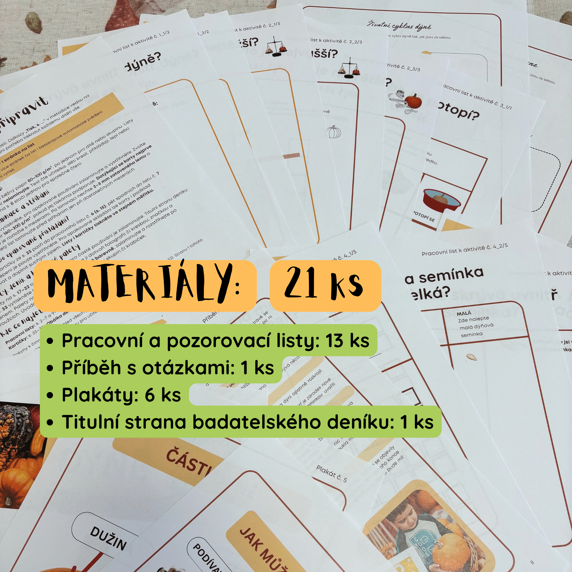 Dýně pod lupou: videolekce + metodika - Obrázek 4