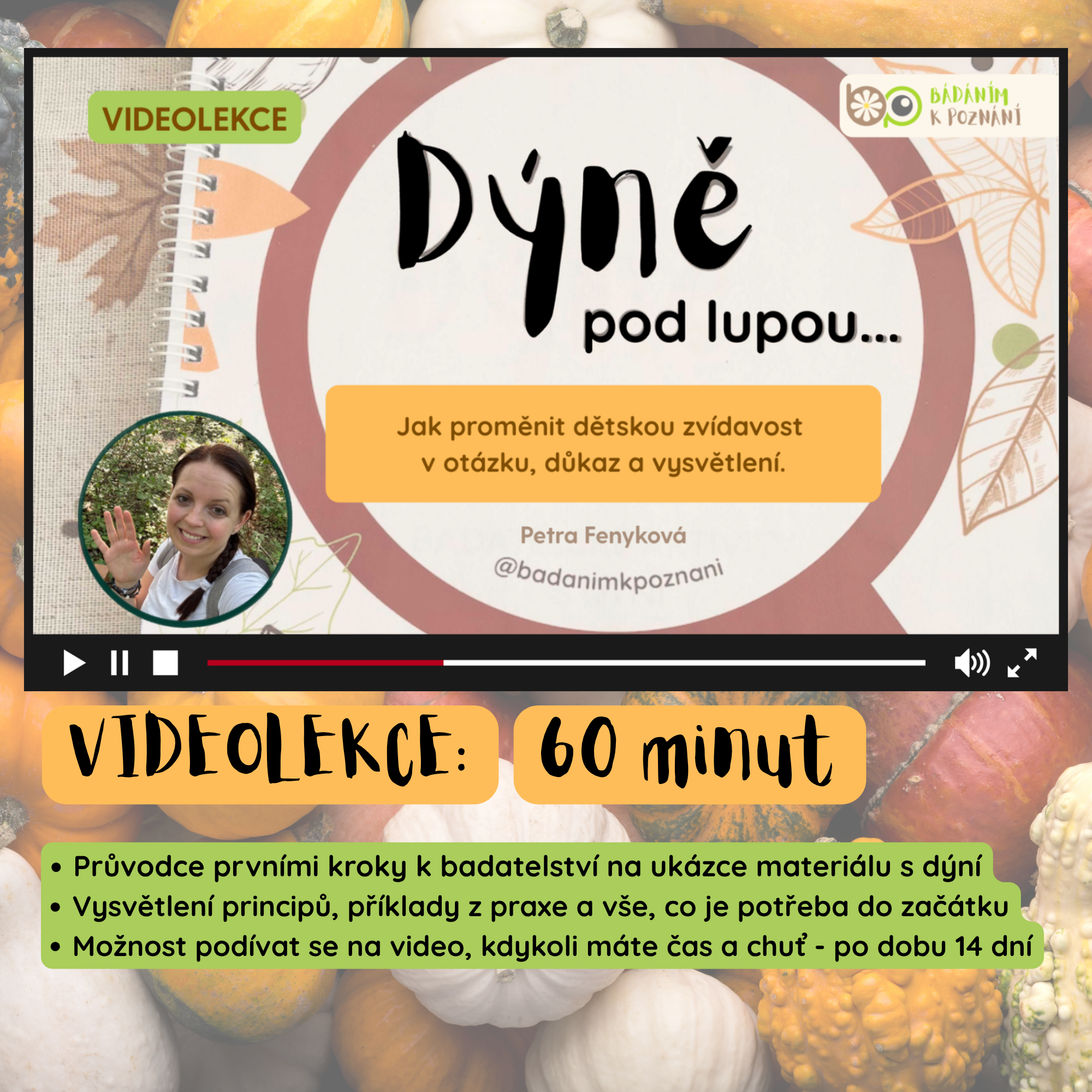 Dýně pod lupou: videolekce + metodika - Obrázek 2